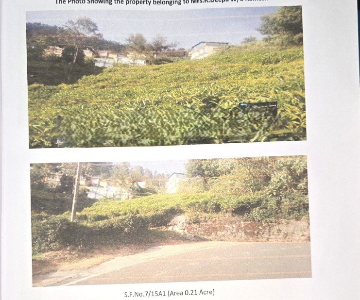 Tea plantation for sale
